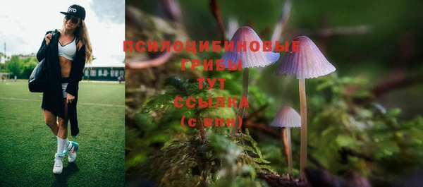 МДПВ Касимов