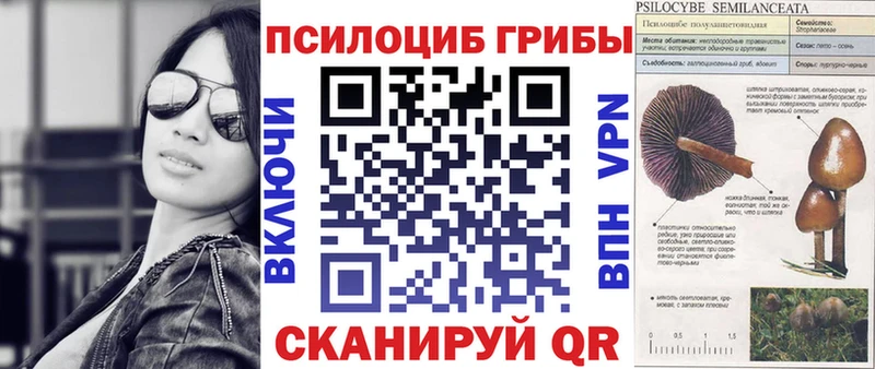 Галлюциногенные грибы прущие грибы  Купить где  Зверево 
